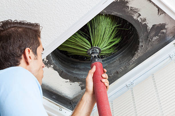 Best Ductwork Cleaning Services  in Shell Valley, ND